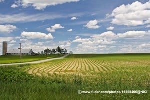 farm