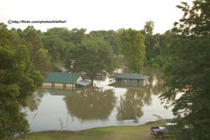 flood insurance